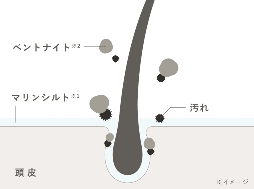 ドロアスシルキークレンズ２