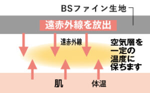 BSファインイラスト