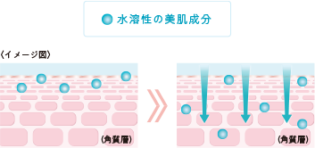 ヤクルトパラビオACセラムサイ画像