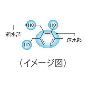 タイムサージシャンプー画像