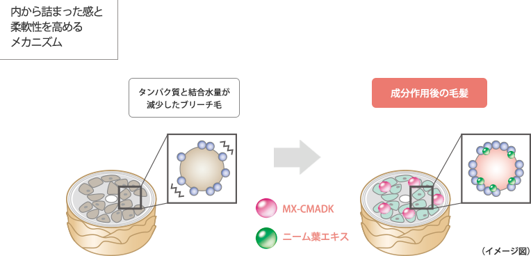 リペアリティシャンプー画像