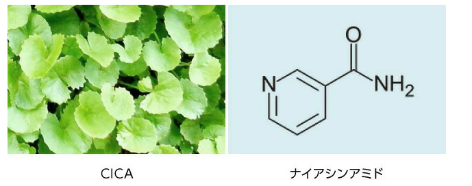 ミシャ⑥